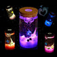 Colorful glass nightlight4
